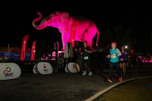 BIB: 
                            <button type="button" onclick="openModal(26534212)" class="btn btn-primary btn-sm float-right btn-popup" data-toggle="modal" data-target=".modal-high-quality">
                        <i class="fas fa-shopping-cart"></i> Add to Cart
                    </button>
                                            <button type="button" onclick="isThisMe(26534212, true)" class="btn btn-success btn-sm float-right btn-popup btn-isme hidden" data-toggle="tooltip" data-placement="bottom" title="นี่คือรูปของคุณใช่ไหม คลิกที่นี่เพื่อเอาเข้าอัลบั้ม">
                        <i class="fas fa-plus"></i> Add to album
                    </button>
                    <button type="button" onclick="isThisMe(26534212, false)" class="btn btn-warning btn-sm float-right btn-popup btn-isnotme hidden">
                        <i class="fas fa-ban"></i> Remove from album
                    </button>